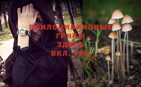 первитин Волосово