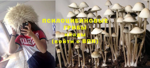 первитин Волосово